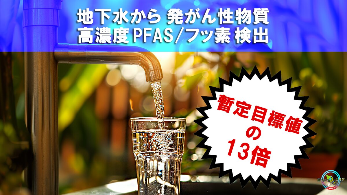 地下水から暫定目標値の13倍 高濃度 PFAS フッ素 検出　